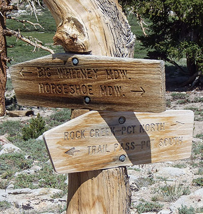 big whitney meadow